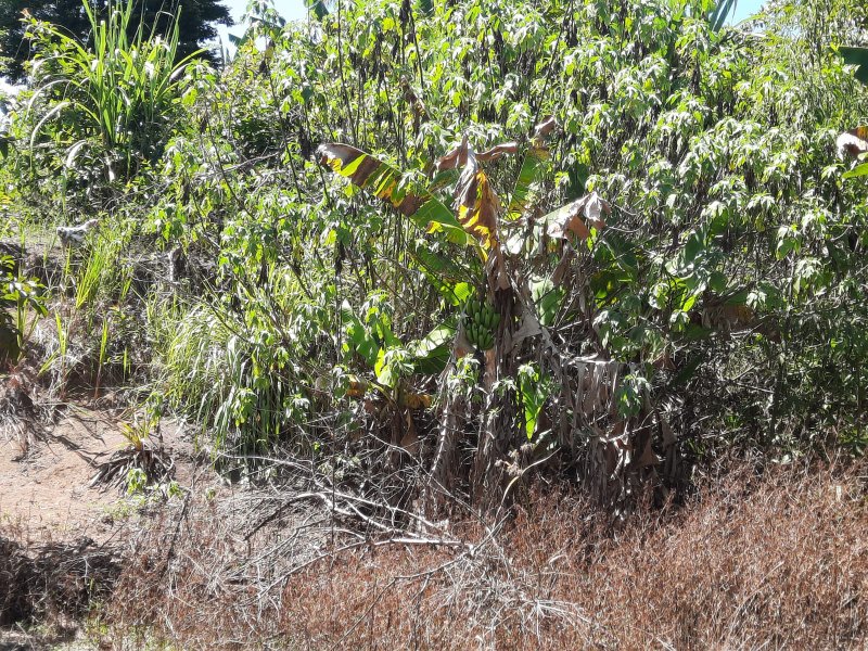 CHÁCARA COM 20.800 METROS EM CAÇAPAVA - Caçapava - 