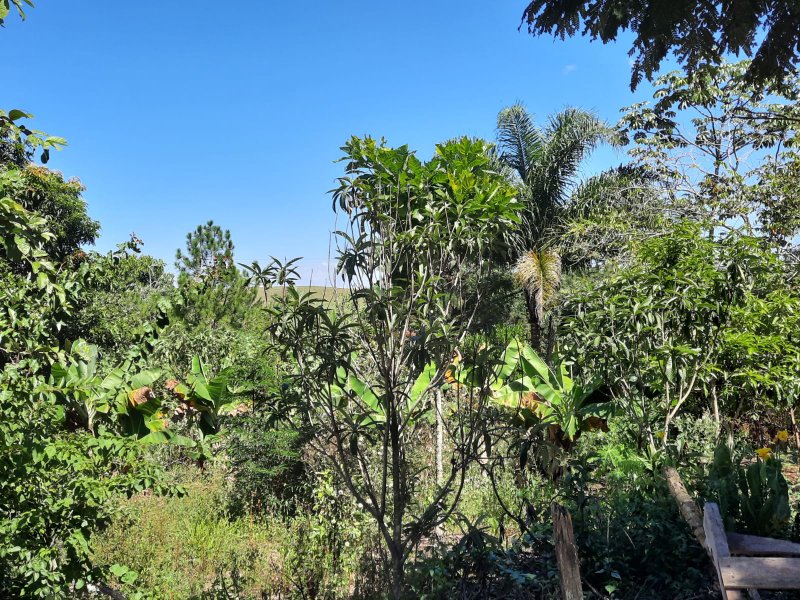 CHÁCARA COM 20.800 METROS EM CAÇAPAVA - Caçapava - 