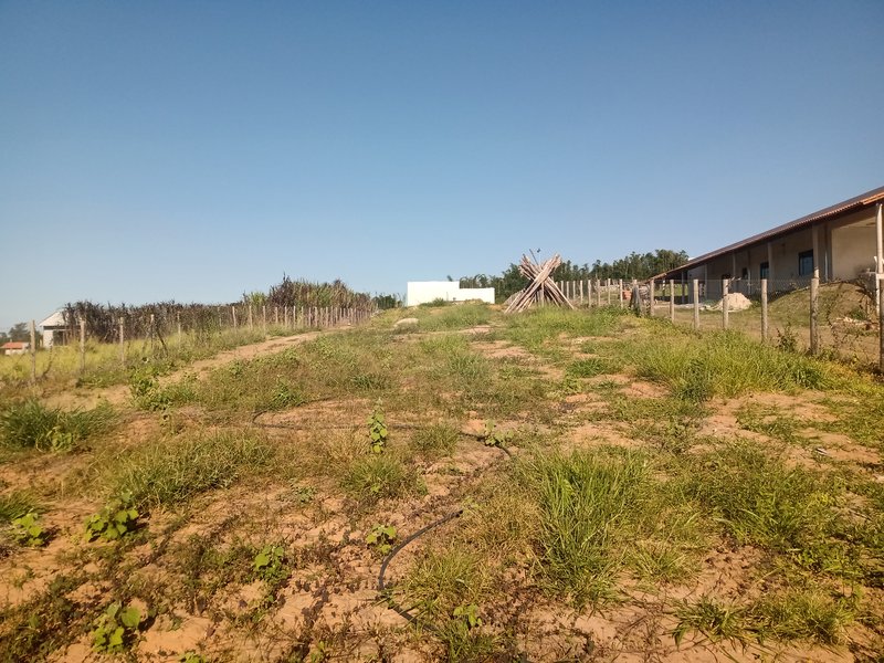 CHÁCARA COM 2.500 METROS EM JACAREÍ - Jacareí - 