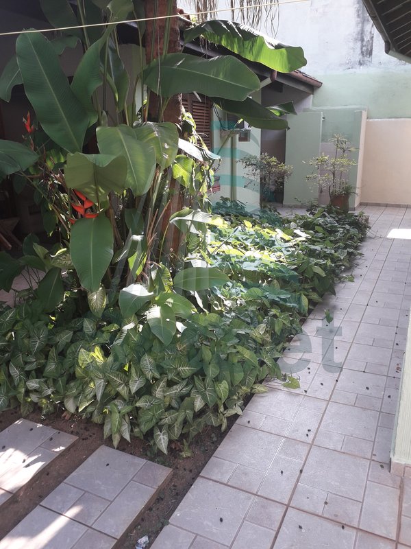 Casa em condomínio com 3 dormitórios a venda - Balneário Praia do Perequê - Guarujá/SP - Guarujá - 