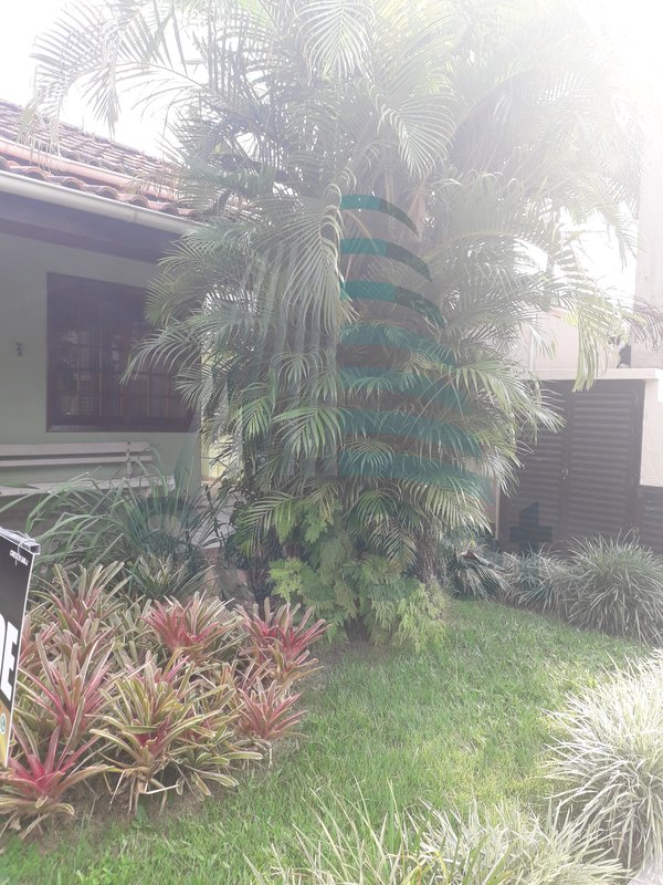 Casa em condomínio com 3 dormitórios a venda - Balneário Praia do Perequê - Guarujá/SP - Guarujá - 