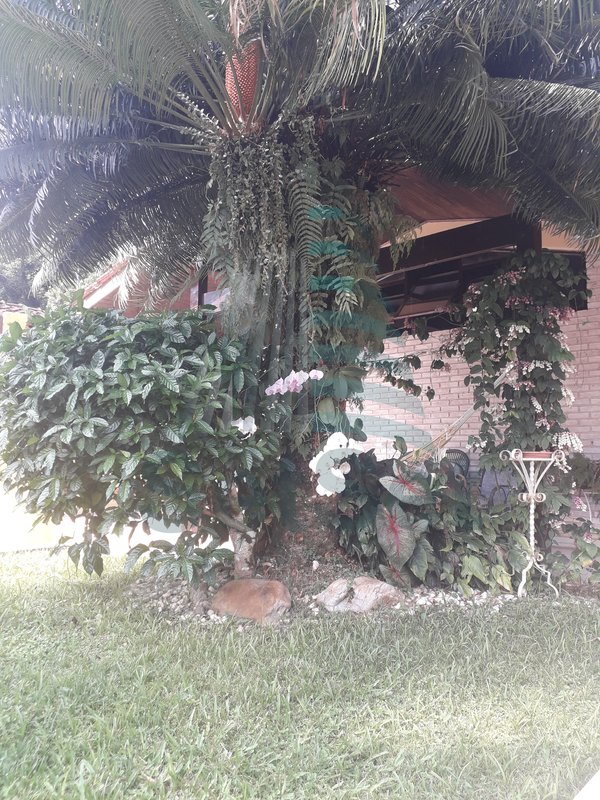 Casa com 3 dormitórios a venda - Balneário Praia do Perequê - Guarujá/SP - Guarujá - 
