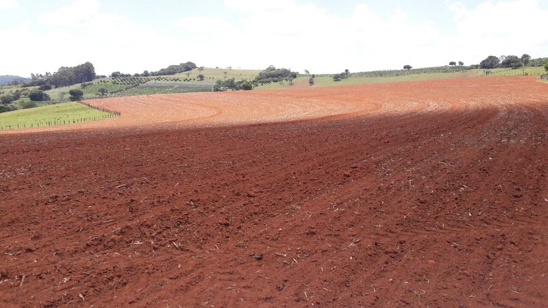 FAZENDA COM 197,47 HECTARES NA REGIÃO DE MACHADO - MACHADO - 