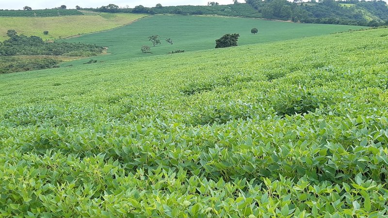 FAZENDA COM 197,47 HECTARES NA REGIÃO DE MACHADO - MACHADO - 