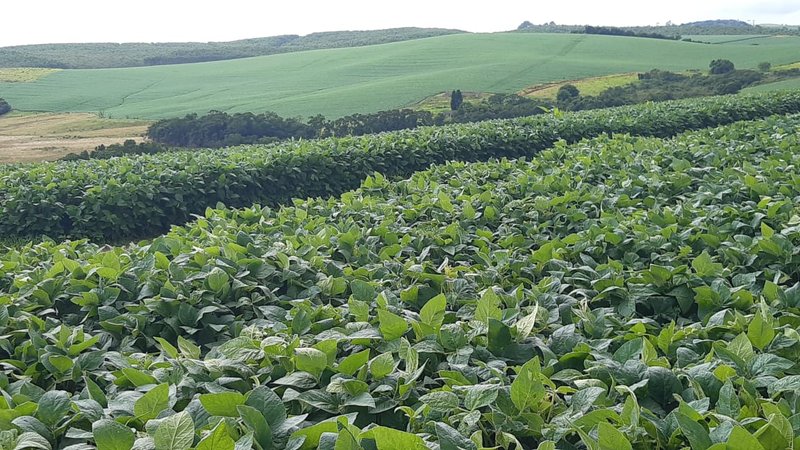 FAZENDA COM 140 ALQUEIRES NA REGIÃO DE POÇO FUNDO - POCO FUNDO - 