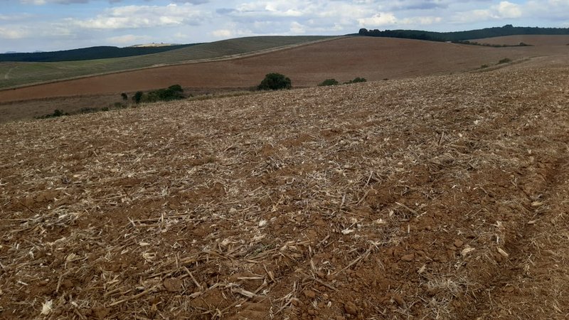 FAZENDA COM 140 ALQUEIRES NA REGIÃO DE POÇO FUNDO - POCO FUNDO - 