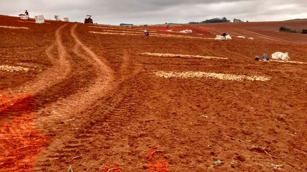 FAZENDA COM 140 ALQUEIRES NA REGIÃO DE POÇO FUNDO - POCO FUNDO - 