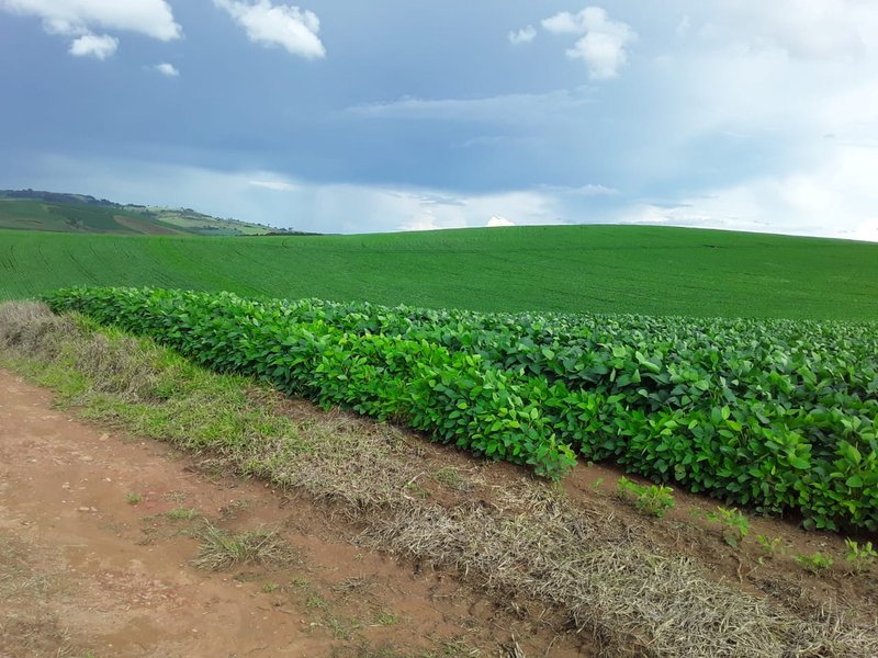 FAZENDA COM 140 ALQUEIRES NA REGIÃO DE POÇO FUNDO - POCO FUNDO - 