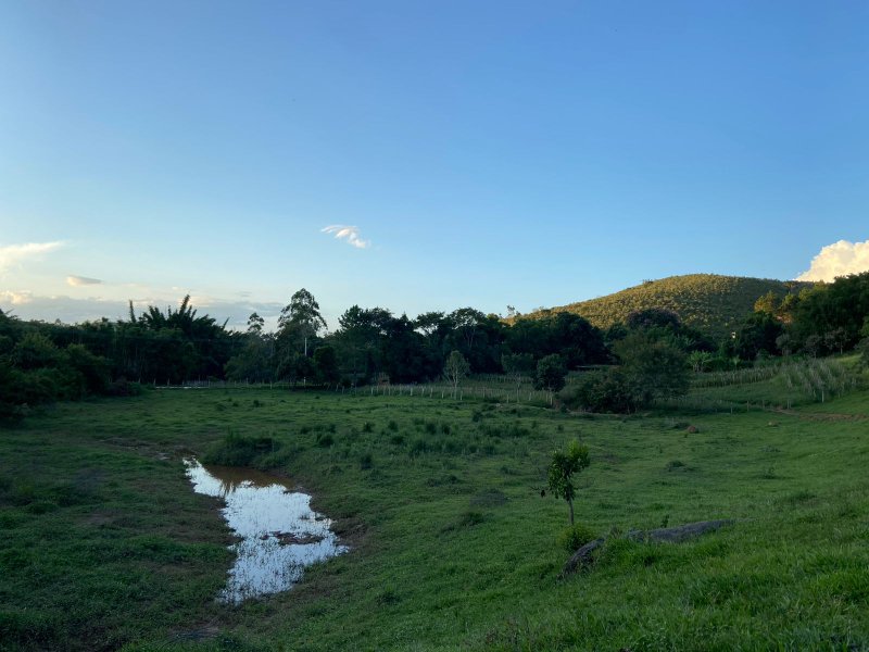 SÍTIO COM 14.5 HECTARES EM SÃO LUIZ DO PARAITINGA - SAO LUIS DO PARAITINGA - 