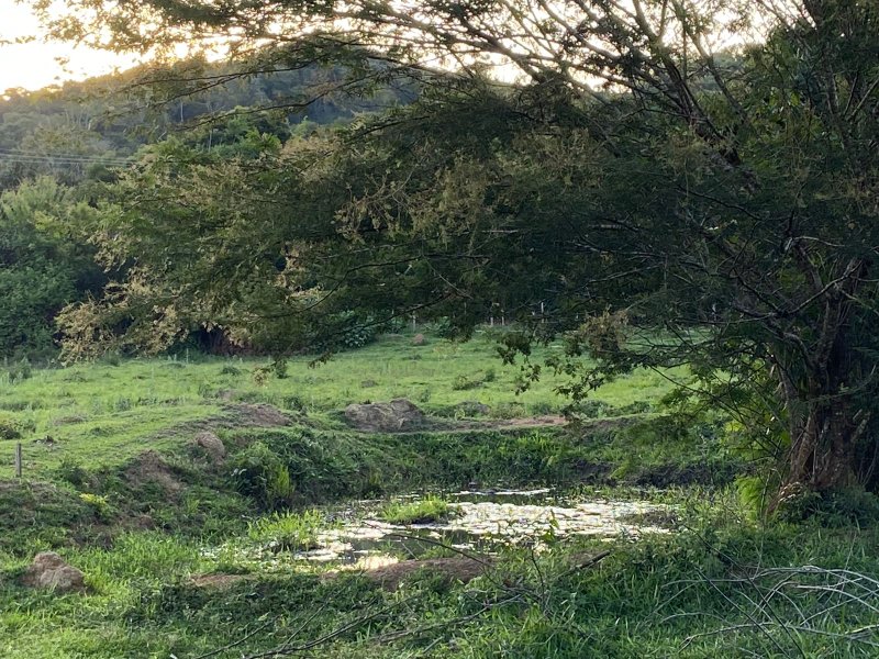 SÍTIO COM 14.5 HECTARES EM SÃO LUIZ DO PARAITINGA - SAO LUIS DO PARAITINGA - 