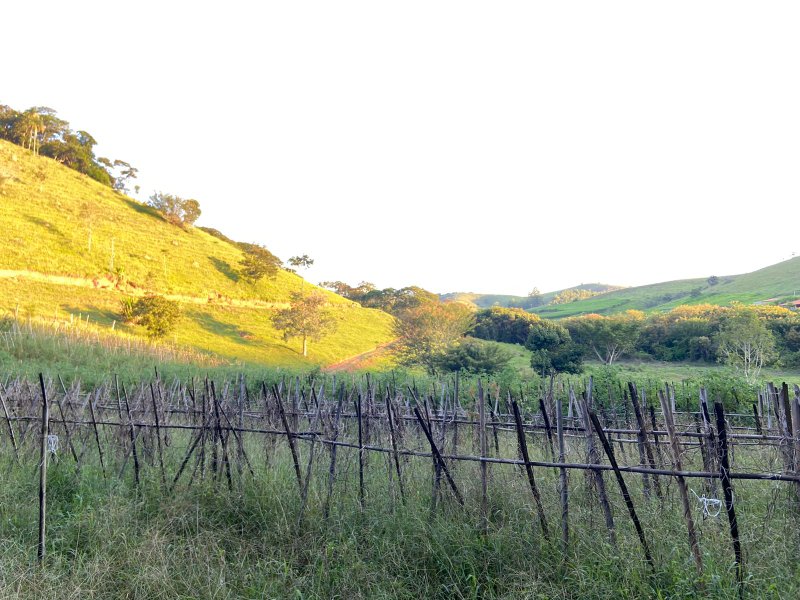 SÍTIO COM 14.5 HECTARES EM SÃO LUIZ DO PARAITINGA - SAO LUIS DO PARAITINGA - 
