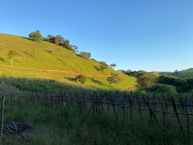 SÍTIO COM 14.5 HECTARES EM SÃO LUIZ DO PARAITINGA - SAO LUIS DO PARAITINGA - 