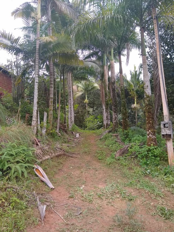 SÍTIO COM 24 HECTARES EM JUQUIA - JUQUIA - 