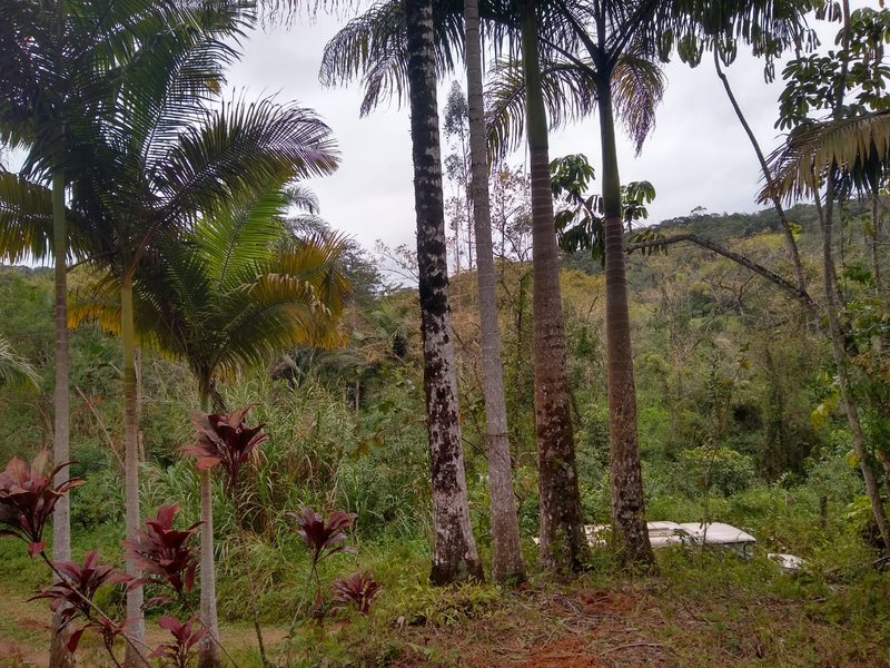 SÍTIO COM 24 HECTARES EM JUQUIA - JUQUIA - 