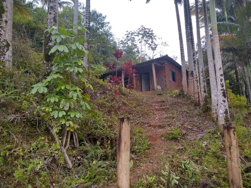 SÍTIO COM 24 HECTARES EM JUQUIA - JUQUIA - 