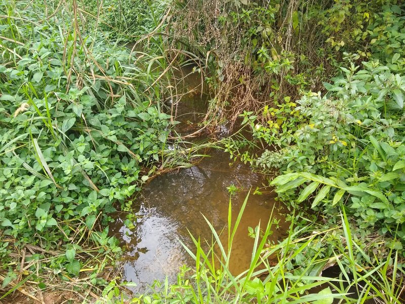 SÍTIO COM 24 HECTARES EM JUQUIA - JUQUIA - 