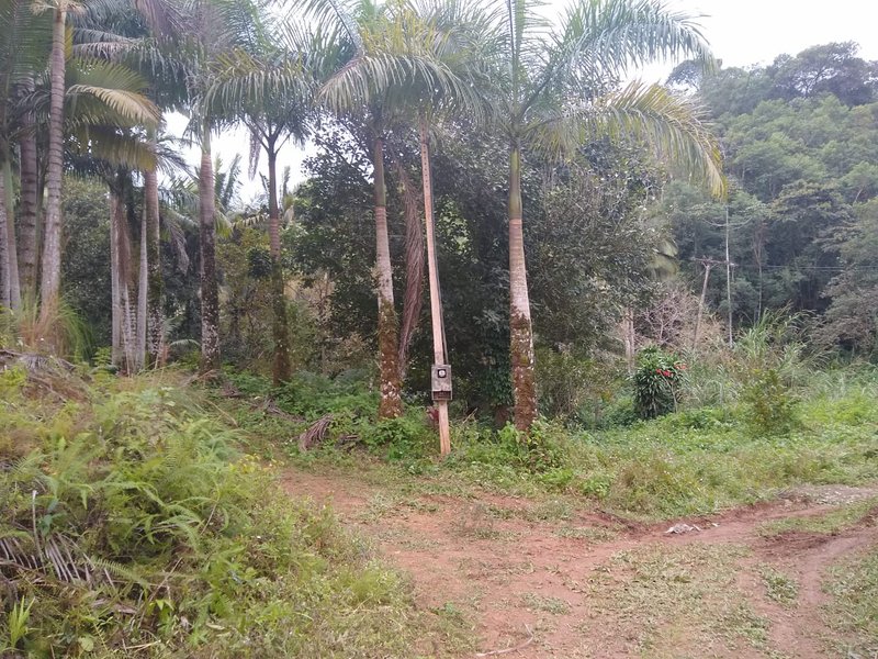 SÍTIO COM 24 HECTARES EM JUQUIA - JUQUIA - 