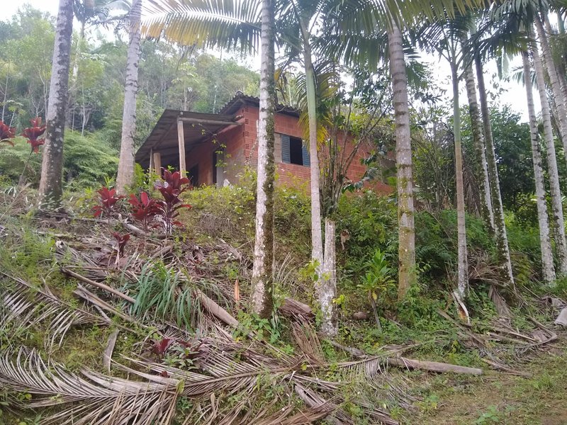 SÍTIO COM 24 HECTARES EM JUQUIA - JUQUIA - 