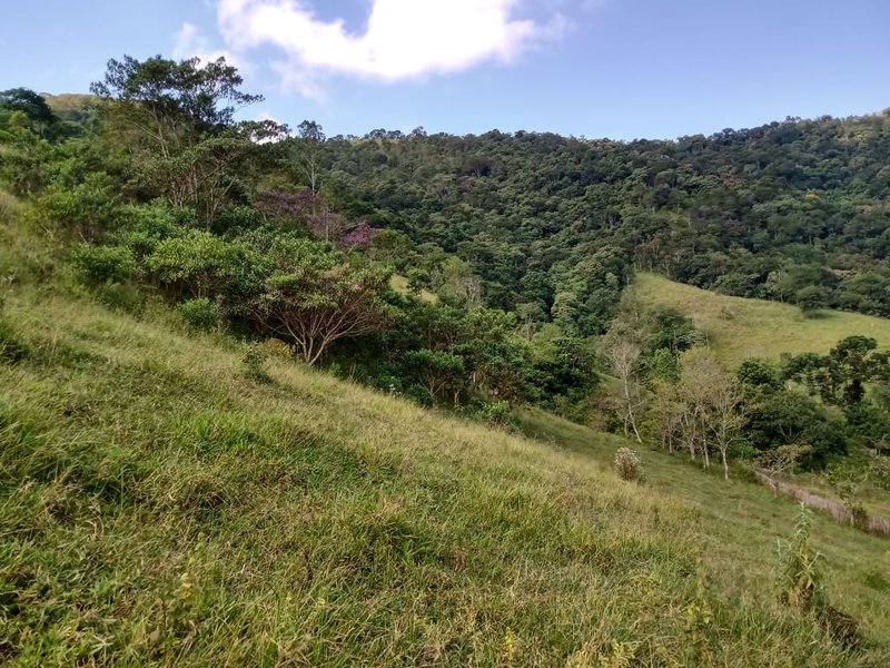 SÍTIO COM 48 HECTARES NA ZONA NORTE EM SÃO JOSÉ DOS CAMPOS - São José dos Campos - 
