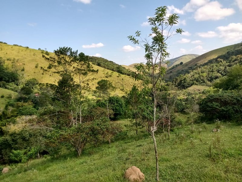 SÍTIO COM 48 HECTARES NA ZONA NORTE EM SÃO JOSÉ DOS CAMPOS - São José dos Campos - 