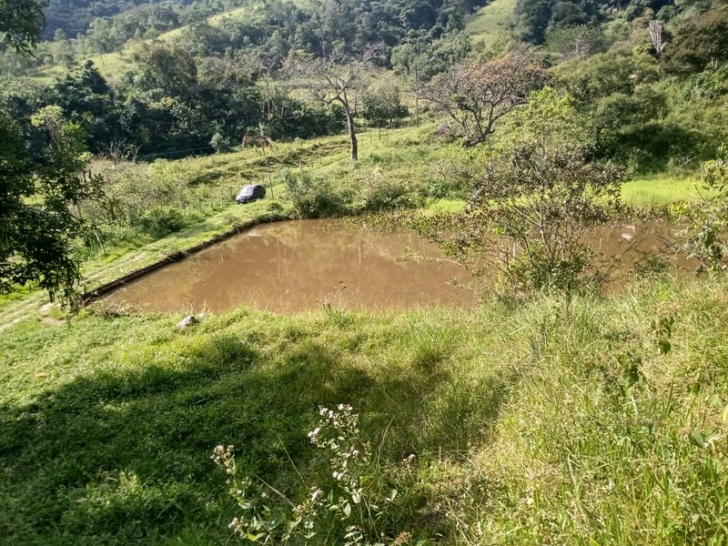 SÍTIO COM 48 HECTARES NA ZONA NORTE EM SÃO JOSÉ DOS CAMPOS - São José dos Campos - 