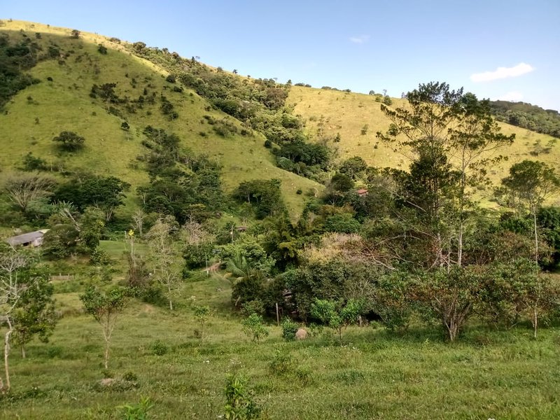 SÍTIO COM 48 HECTARES NA ZONA NORTE EM SÃO JOSÉ DOS CAMPOS - São José dos Campos - 