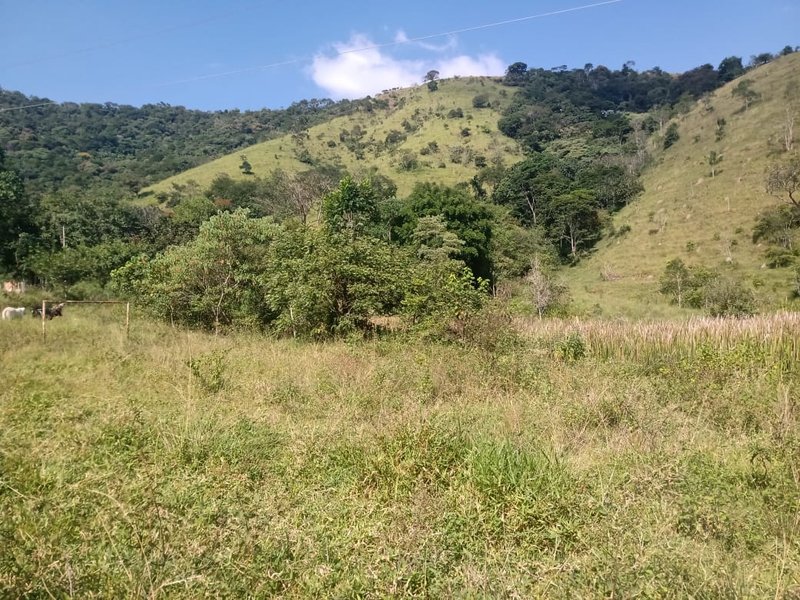 SÍTIO COM 48 HECTARES NA ZONA NORTE EM SÃO JOSÉ DOS CAMPOS - São José dos Campos - 