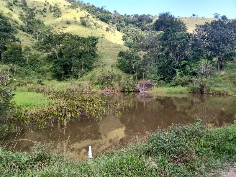 SÍTIO COM 48 HECTARES NA ZONA NORTE EM SÃO JOSÉ DOS CAMPOS - São José dos Campos - 