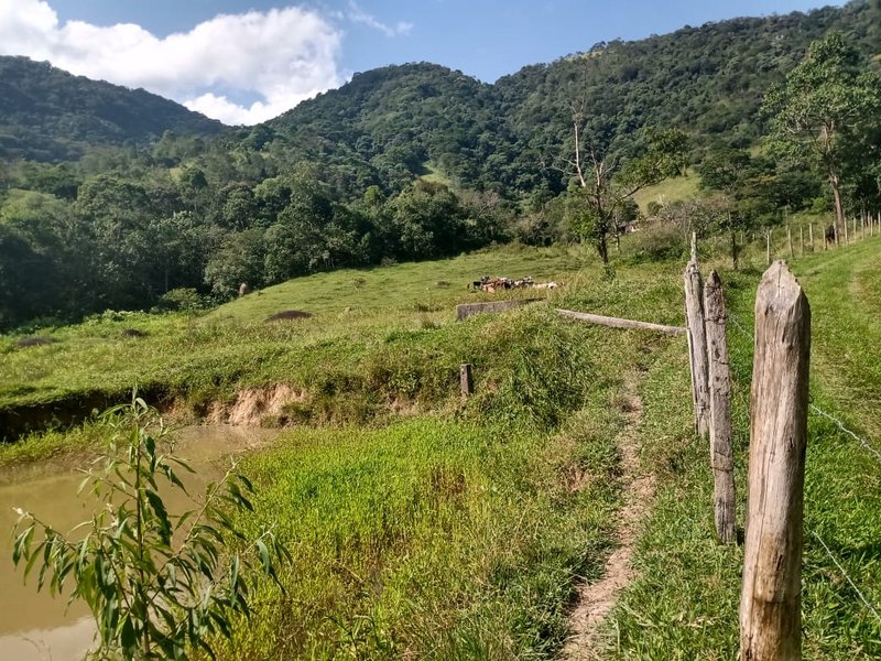 SÍTIO COM 48 HECTARES NA ZONA NORTE EM SÃO JOSÉ DOS CAMPOS - São José dos Campos - 