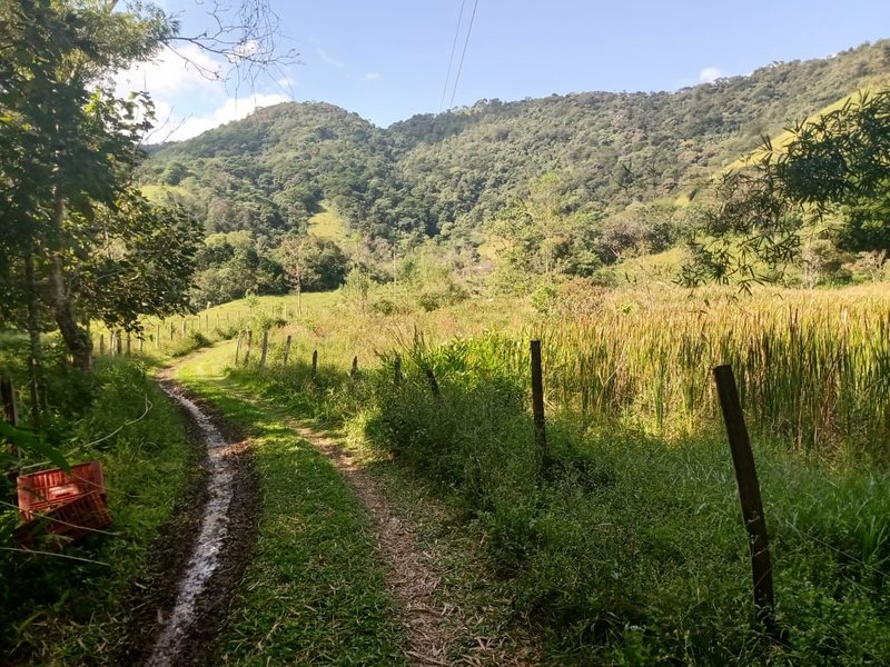 SÍTIO COM 48 HECTARES NA ZONA NORTE EM SÃO JOSÉ DOS CAMPOS - São José dos Campos - 