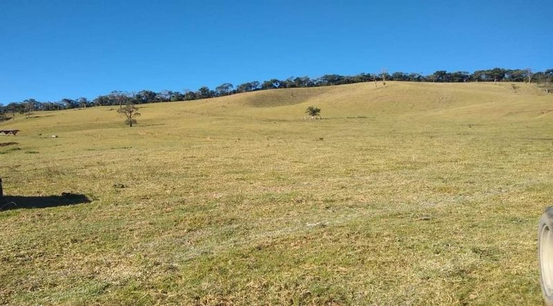 FAZENDA COM 250 HECTARES NO SUL DE MINAS - Cambuí - 