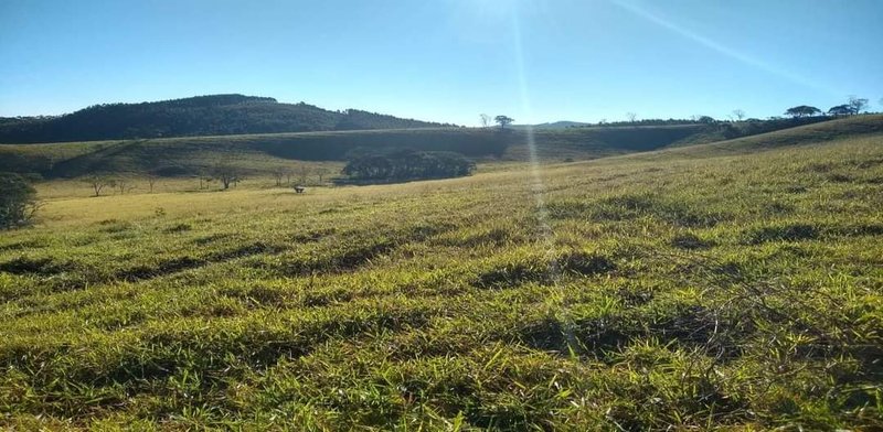 FAZENDA COM 250 HECTARES NO SUL DE MINAS - Cambuí - 
