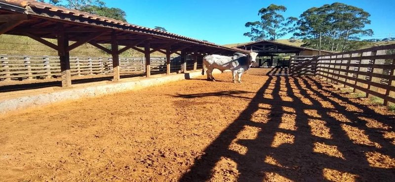 FAZENDA COM 250 HECTARES NO SUL DE MINAS - Cambuí - 