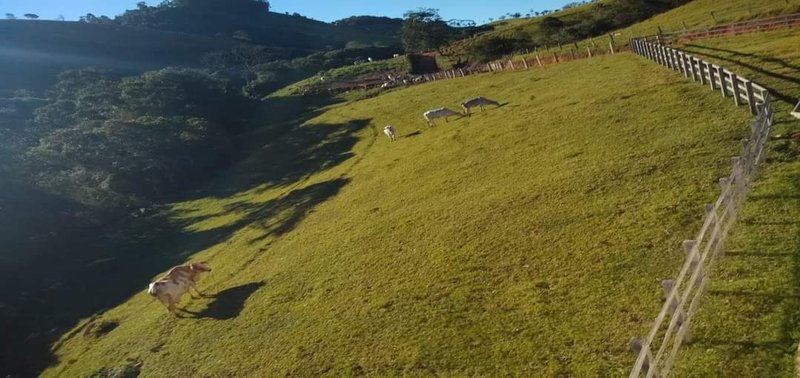 FAZENDA COM 250 HECTARES NO SUL DE MINAS - Cambuí - 