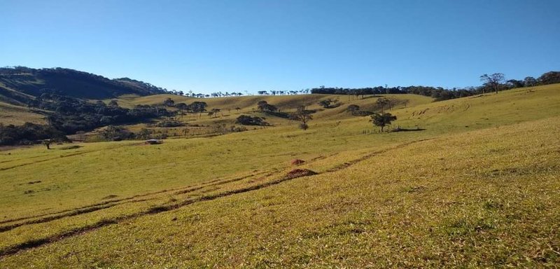FAZENDA COM 250 HECTARES NO SUL DE MINAS - Cambuí - 