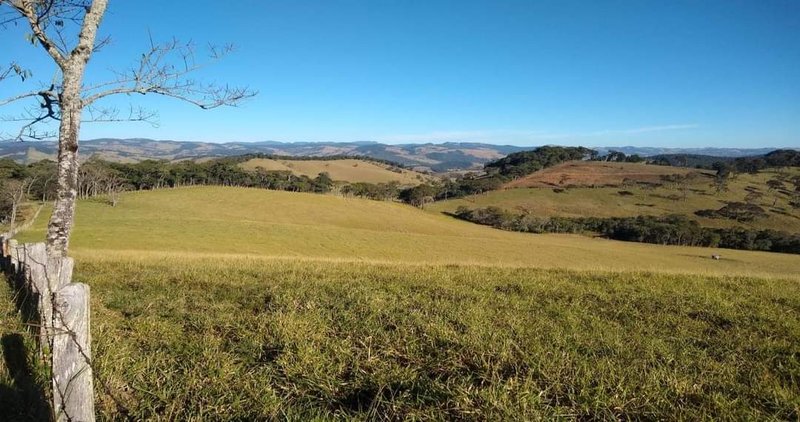 FAZENDA COM 250 HECTARES NO SUL DE MINAS - Cambuí - 
