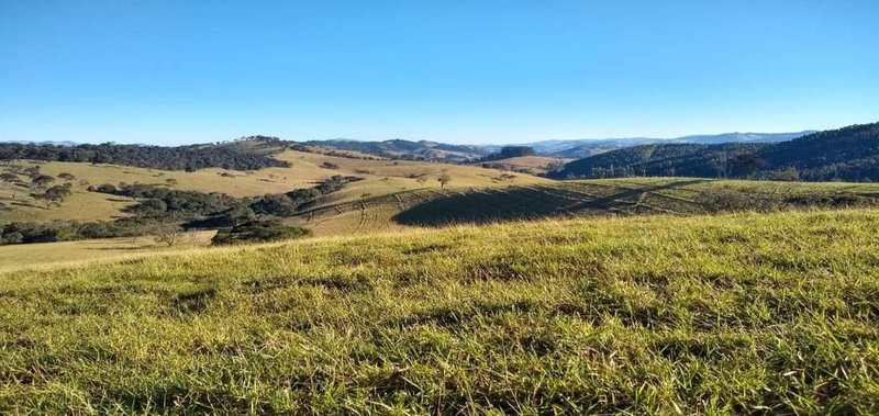 FAZENDA COM 250 HECTARES NO SUL DE MINAS - Cambuí - 