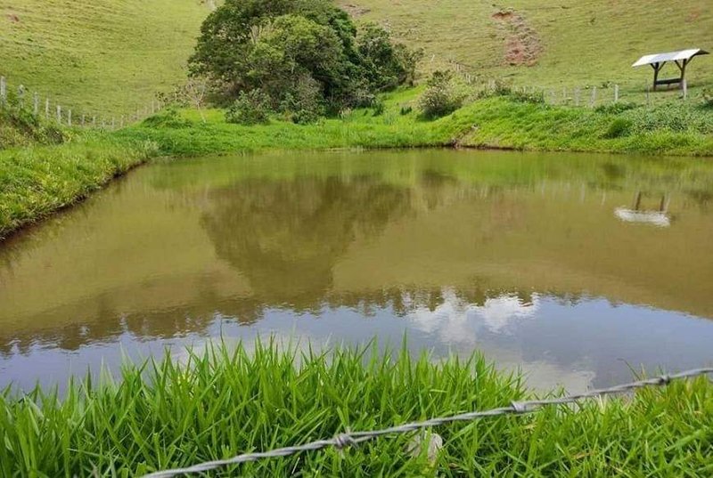 FAZENDA COM 250 HECTARES NO SUL DE MINAS - Cambuí - 