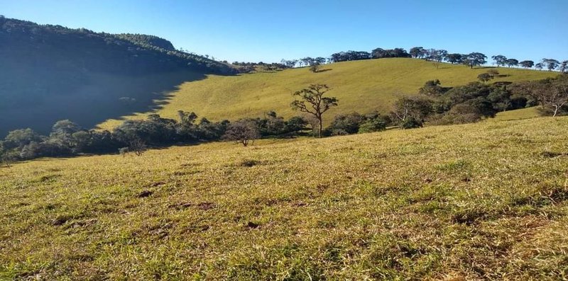 FAZENDA COM 250 HECTARES NO SUL DE MINAS - Cambuí - 