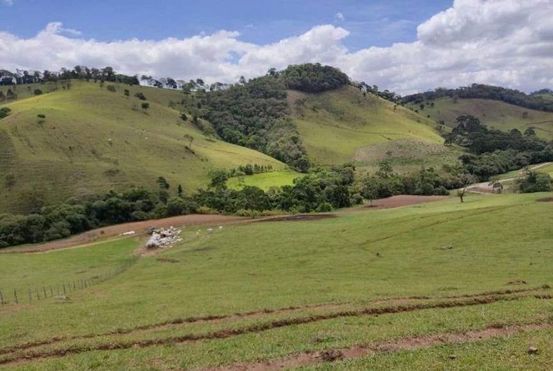 FAZENDA COM 250 HECTARES NO SUL DE MINAS - Cambuí - 