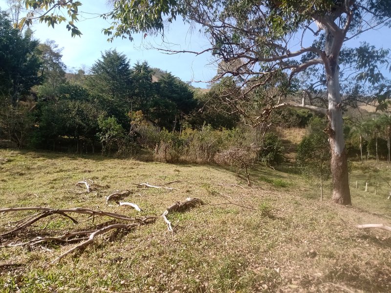 SÍTIO COM 30.7 HECTARES EM JAMBEIRO - JAMBEIRO - 