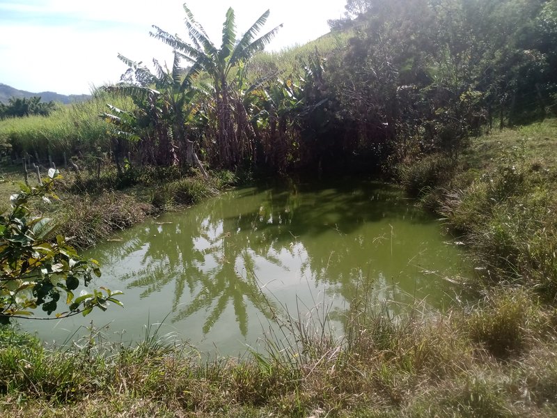 SÍTIO COM 30.7 HECTARES EM JAMBEIRO - JAMBEIRO - 