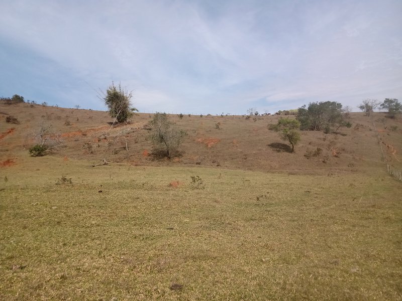 SÍTIO COM 30.7 HECTARES EM JAMBEIRO - JAMBEIRO - 