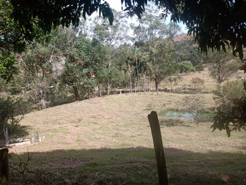 SÍTIO COM 30.7 HECTARES EM JAMBEIRO - JAMBEIRO - 