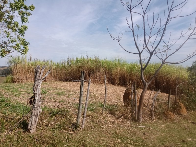SÍTIO COM 30.7 HECTARES EM JAMBEIRO - JAMBEIRO - 