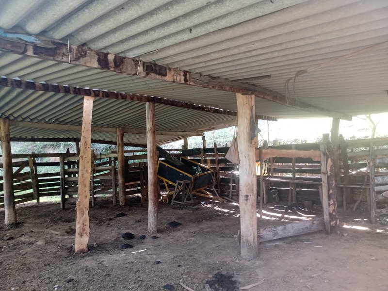 SÍTIO COM 30.7 HECTARES EM JAMBEIRO - JAMBEIRO - 