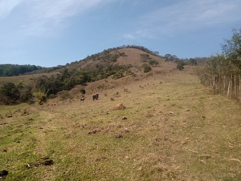 SÍTIO COM 30.7 HECTARES EM JAMBEIRO - JAMBEIRO - 