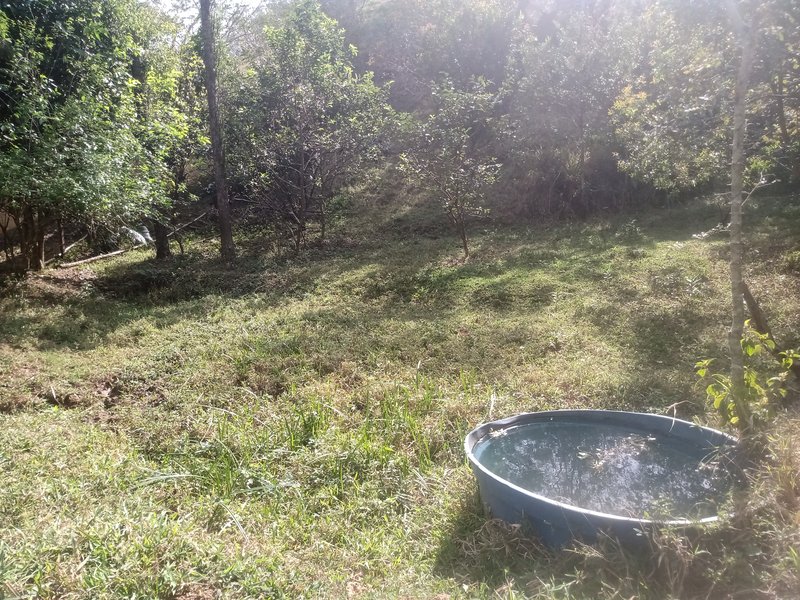 SÍTIO COM 30.7 HECTARES EM JAMBEIRO - JAMBEIRO - 