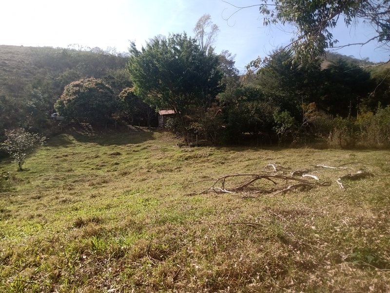 SÍTIO COM 30.7 HECTARES EM JAMBEIRO - JAMBEIRO - 