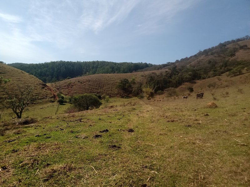 SÍTIO COM 30.7 HECTARES EM JAMBEIRO - JAMBEIRO - 